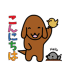 ソフィ＆ごましお日常会話（個別スタンプ：3）