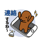 ソフィ＆ごましお日常会話（個別スタンプ：7）