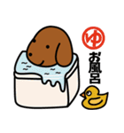 ソフィ＆ごましお日常会話（個別スタンプ：40）
