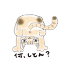 半分家猫さん。（個別スタンプ：3）