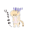 半分家猫さん。（個別スタンプ：10）