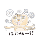半分家猫さん。（個別スタンプ：11）