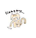 半分家猫さん。（個別スタンプ：16）