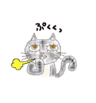 半分家猫さん。（個別スタンプ：17）
