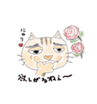 半分家猫さん。（個別スタンプ：25）