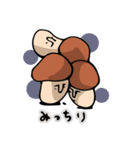 いろいろきのこ（個別スタンプ：20）