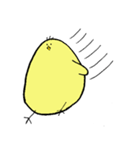 CHICK SAN（個別スタンプ：12）