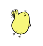 CHICK SAN（個別スタンプ：16）