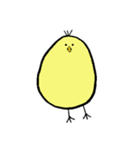 CHICK SAN（個別スタンプ：40）