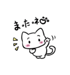 白玉みたいな猫（個別スタンプ：15）