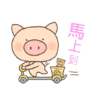 Dumpling Pig (daily words)（個別スタンプ：16）