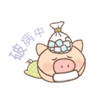 Dumpling Pig (daily words)（個別スタンプ：26）