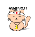 にゃんこの日常スタンプ（個別スタンプ：1）