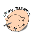 にゃんこの日常スタンプ（個別スタンプ：24）