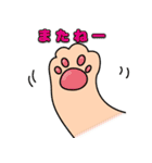 にゃんこの日常スタンプ（個別スタンプ：29）