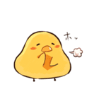 ニワトリ、そしてヒヨコ（個別スタンプ：31）