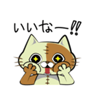 ぬいネコ。（個別スタンプ：4）
