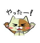 ぬいネコ。（個別スタンプ：7）