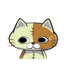 ぬいネコ。（個別スタンプ：14）