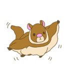 Flying squirrel（個別スタンプ：40）