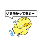ひよこのぴーさん（個別スタンプ：33）