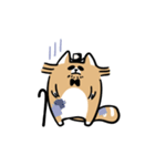 Paul, a gentle racoon（個別スタンプ：33）