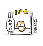 エレベーターねこ（個別スタンプ：9）