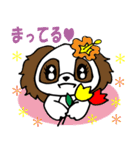 Lovely Puppy Vol.3 陽気なコッカちゃん（個別スタンプ：14）