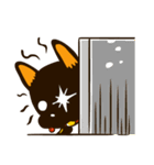 Moka the Corgi（個別スタンプ：20）