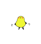 コロコロおまめ（個別スタンプ：31）