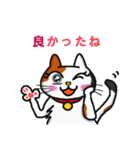 三毛猫も好き（個別スタンプ：21）