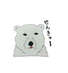 しろくまのおやこ 〜サンとルル〜（個別スタンプ：1）