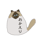 おねこさんず。（個別スタンプ：5）