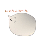 おねこさんず。（個別スタンプ：18）