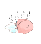 ぱぱぴっぐ（個別スタンプ：25）