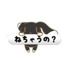 ほしのきまいら（個別スタンプ：36）