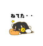 ほしのきまいら（個別スタンプ：39）