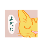 しあわせのきいろいねこ、ひとこと（個別スタンプ：24）