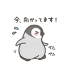 ぺんひな（個別スタンプ：3）