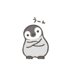 ぺんひな（個別スタンプ：11）