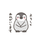 ぺんひな（個別スタンプ：12）
