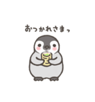 ぺんひな（個別スタンプ：19）
