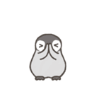 ぺんひな（個別スタンプ：36）