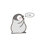 ぺんひな（個別スタンプ：40）