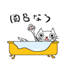 いらっとするネコ（個別スタンプ：2）