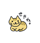 関西弁トラ猫（個別スタンプ：6）
