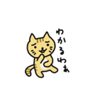 関西弁トラ猫（個別スタンプ：18）