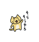 関西弁トラ猫（個別スタンプ：21）