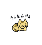 関西弁トラ猫（個別スタンプ：23）