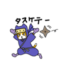 ときどき忍ニャ（個別スタンプ：5）